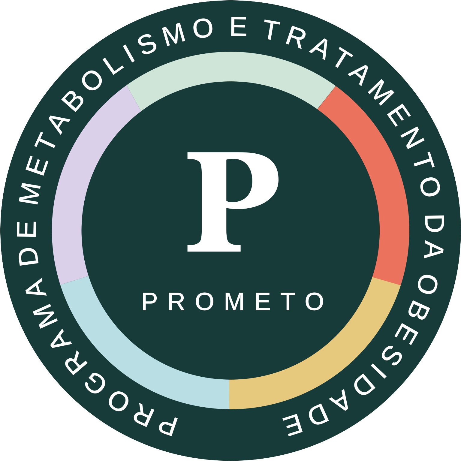 Logo PROMETO — Programa de Metabolismo e Tratamento da Obesidade